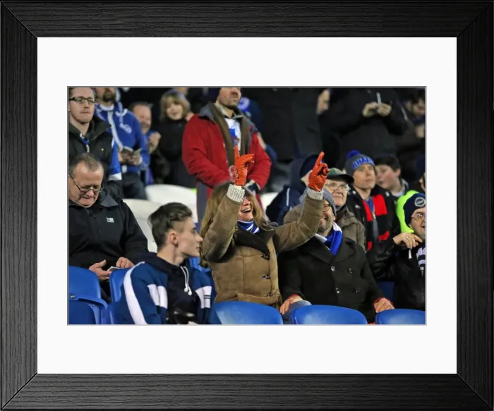 Framed Print : Brighton and Hove Albion vs. Brentford: Sky Bet Championship Showdown at American Express Community Stadium (05.02.2016) Framed Print : Brighton and Hove Albion vs. Brentford: Sky Bet Championship Showdown at American Express Community Stadium (05.02.2016)