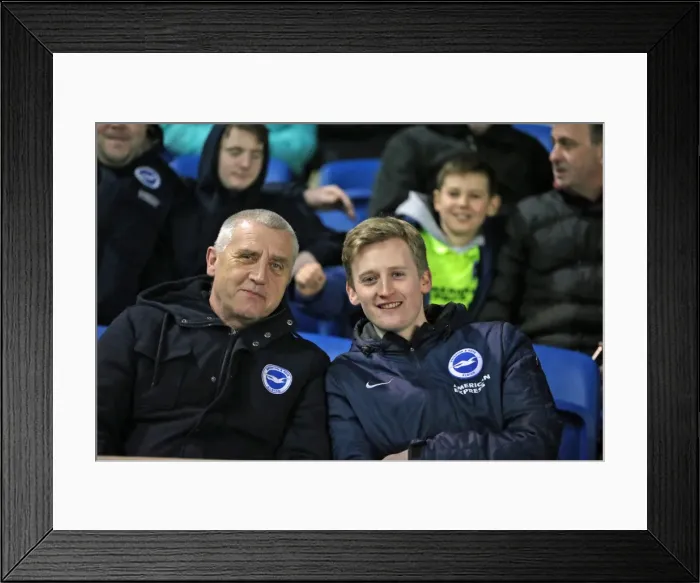 Framed Print : Brighton and Hove Albion vs. Brentford: Sky Bet Championship Showdown at American Express Community Stadium (05.02.2016) Framed Print : Brighton and Hove Albion vs. Brentford: Sky Bet Championship Showdown at American Express Community Stadium (05.02.2016)