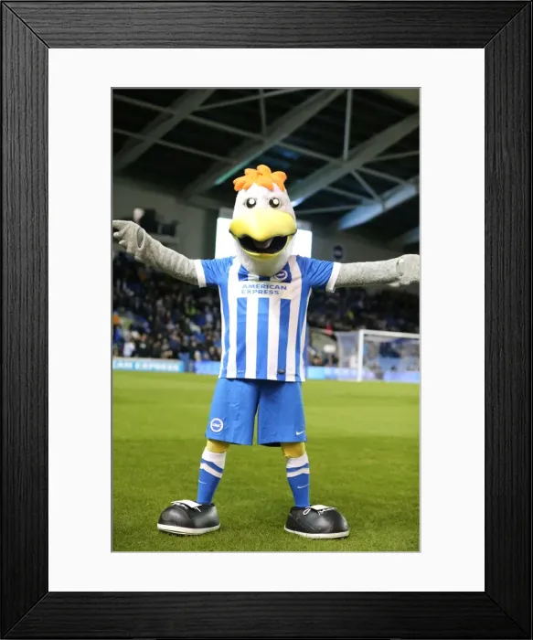Framed Print : Brighton and Hove Albion vs. Brentford: Sky Bet Championship Showdown at American Express Community Stadium (05.02.2016) Framed Print : Brighton and Hove Albion vs. Brentford: Sky Bet Championship Showdown at American Express Community Stadium (05.02.2016)