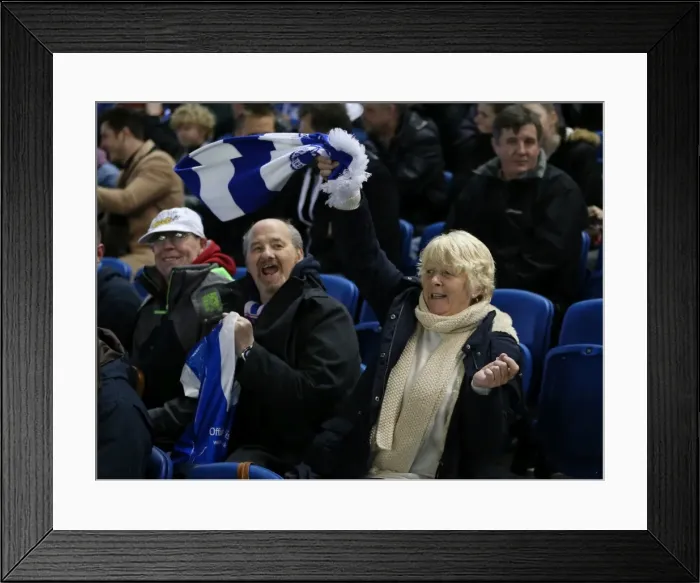 Framed Print : Brighton and Hove Albion vs. Brentford: Sky Bet Championship Showdown at American Express Community Stadium (05 / 02 / 2016) Framed Print : Brighton and Hove Albion vs. Brentford: Sky Bet Championship Showdown at American Express Community Stadium (05 / 02 / 2016)