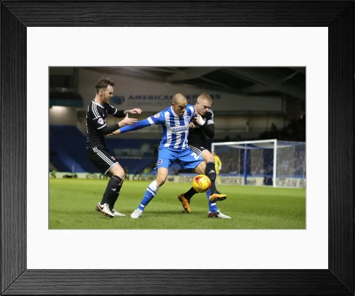 Framed Print : Brighton and Hove Albion vs. Brentford: Sky Bet Championship Showdown at American Express Community Stadium (05.02.2016) Framed Print : Brighton and Hove Albion vs. Brentford: Sky Bet Championship Showdown at American Express Community Stadium (05.02.2016)