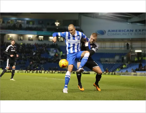Brighton and Hove Albion vs. Brentford: A Battle in the Sky Bet Championship (05 / 02 / 2016)