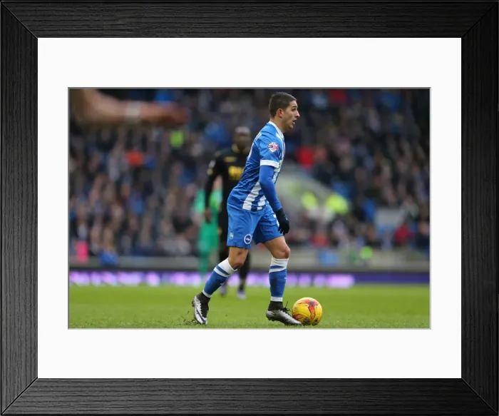 Framed Print : Brighton and Hove Albion vs. Bolton Wanderers: Sky Bet Championship Showdown at American Express Community Stadium (February 13, 2016)