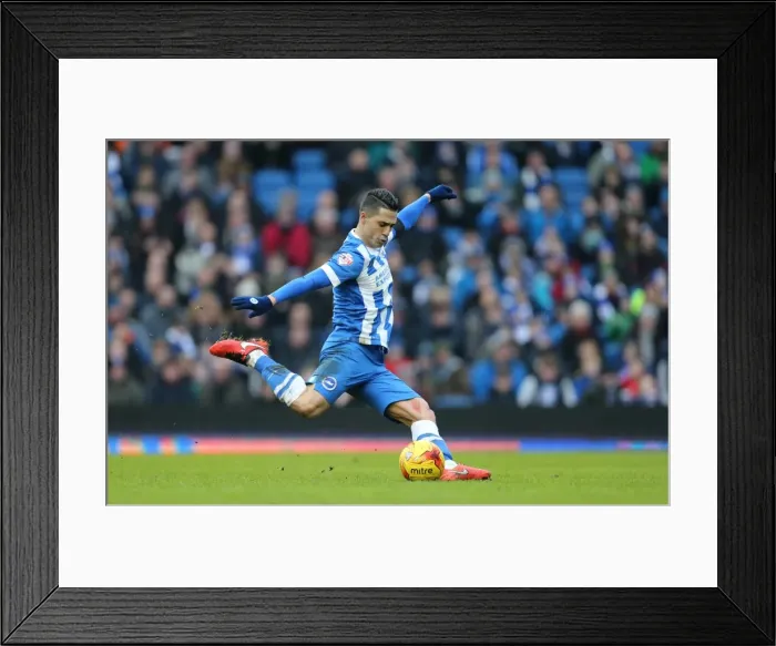 Framed Print : Brighton and Hove Albion vs. Bolton Wanderers: Sky Bet Championship Showdown at American Express Community Stadium (February 13, 2016) Framed Print : Brighton and Hove Albion vs. Bolton Wanderers: Sky Bet Championship Showdown at American Express Community Stadium (February 13, 2016)