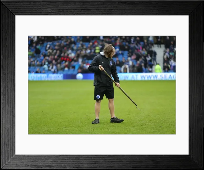 Framed Print : Brighton & Hove Albion vs. Bolton Wanderers: Sky Bet Championship Showdown at American Express Community Stadium (13 / 02 / 2016) Framed Print : Brighton & Hove Albion vs. Bolton Wanderers: Sky Bet Championship Showdown at American Express Community Stadium (13 / 02 / 2016)