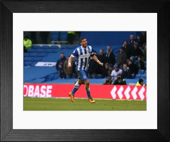 Framed Print : Sky Bet Championship Showdown: Brighton & Hove Albion vs. Bolton Wanderers (13th February 2016) Framed Print : Sky Bet Championship Showdown: Brighton & Hove Albion vs. Bolton Wanderers (13th February 2016)
