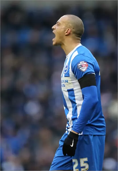 Brighton and Hove Albion v Bolton Wanderers Sky Bet Championship 13  /  02  /  2016