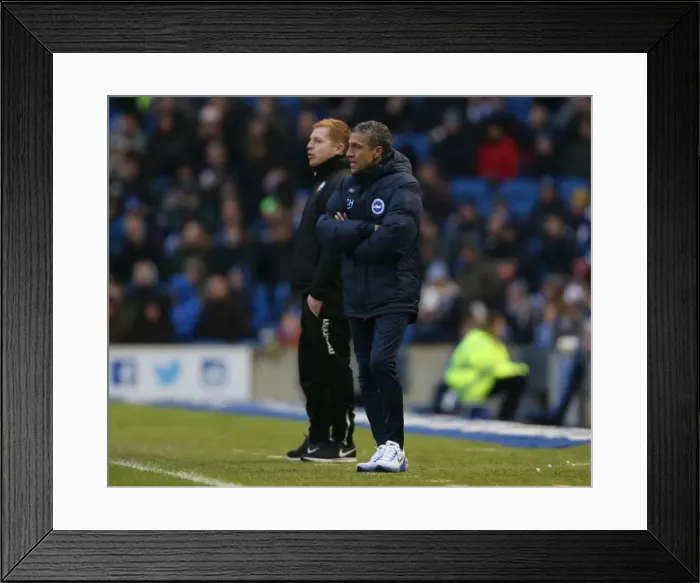 Framed Print : Brighton and Hove Albion vs. Bolton Wanderers: Sky Bet Championship Showdown at American Express Community Stadium (February 13, 2016) Framed Print : Brighton and Hove Albion vs. Bolton Wanderers: Sky Bet Championship Showdown at American Express Community Stadium (February 13, 2016)