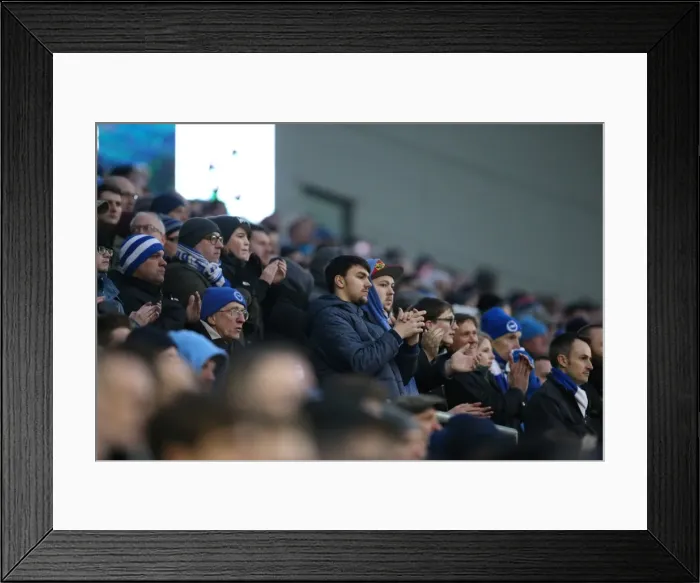 Framed Print : Brighton & Hove Albion vs. Bolton Wanderers: Sky Bet Championship Showdown at American Express Community Stadium (13 / 02 / 2016) Framed Print : Brighton & Hove Albion vs. Bolton Wanderers: Sky Bet Championship Showdown at American Express Community Stadium (13 / 02 / 2016)