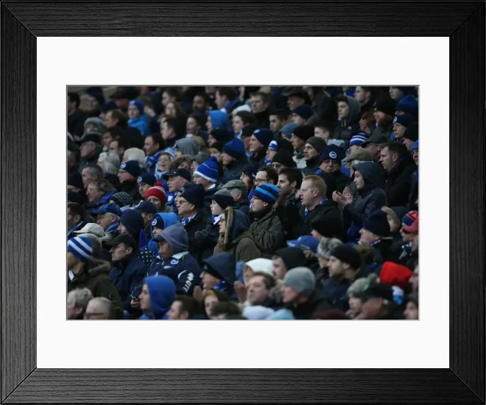 Framed Print : Brighton and Hove Albion vs. Bolton Wanderers: Sky Bet Championship Showdown at American Express Community Stadium (13 / 02 / 2016) Framed Print : Brighton and Hove Albion vs. Bolton Wanderers: Sky Bet Championship Showdown at American Express Community Stadium (13 / 02 / 2016)