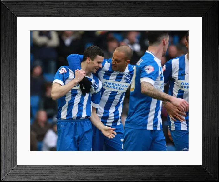 Framed Print : Brighton and Hove Albion: Jamie Murphy and Bobby Zamora Celebrate Goal Against Bolton Wanderers, Sky Bet Championship 2016 Framed Print : Brighton and Hove Albion: Jamie Murphy and Bobby Zamora Celebrate Goal Against Bolton Wanderers, Sky Bet Championship 2016