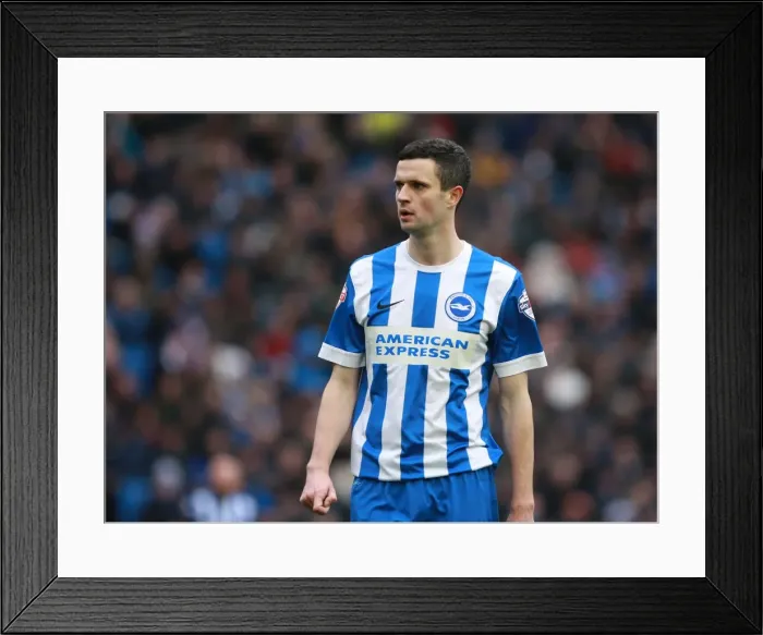Framed Print : Jamie Murphy in Action: Brighton & Hove Albion vs. Bolton Wanderers, Sky Bet Championship (13th February 2016) Framed Print : Jamie Murphy in Action: Brighton & Hove Albion vs. Bolton Wanderers, Sky Bet Championship (13th February 2016)