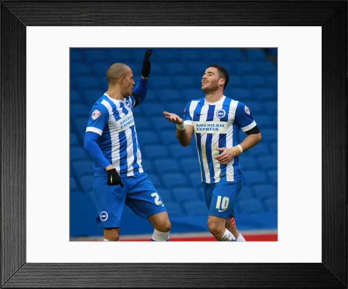 Framed Print : Brighton and Hove Albion: Tomer Hemed and Bobby Zamora Celebrate Goal vs. Bolton Wanderers (13 / 02 / 2016) Framed Print : Brighton and Hove Albion: Tomer Hemed and Bobby Zamora Celebrate Goal vs. Bolton Wanderers (13 / 02 / 2016)