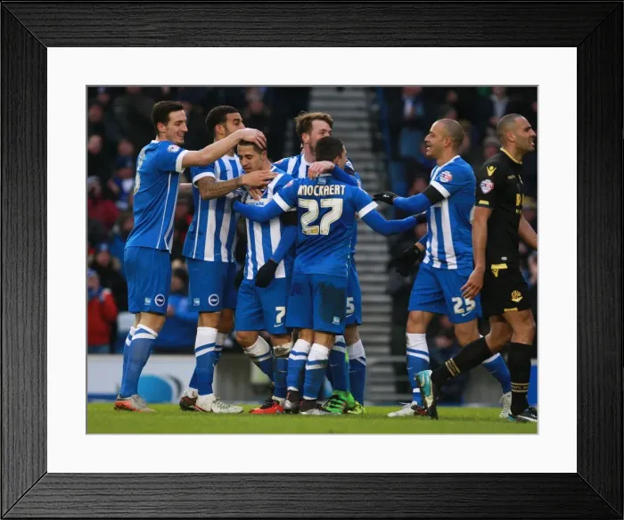 Framed Print : Brighton's Kayal Scores Dramatic Winner Against Bolton in Sky Bet Championship (13 / 02 / 2016) Framed Print : Brighton's Kayal Scores Dramatic Winner Against Bolton in Sky Bet Championship (13 / 02 / 2016)