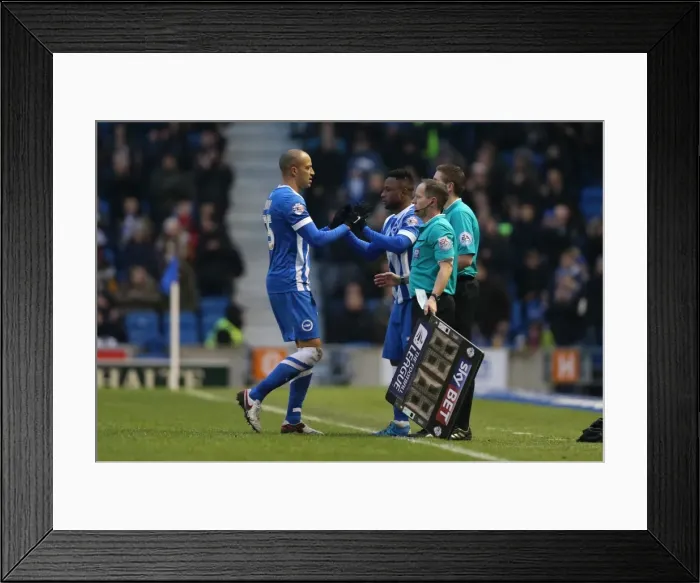Framed Print : Brighton and Hove Albion vs. Bolton Wanderers: Sky Bet Championship Showdown at American Express Community Stadium (February 13, 2016) Framed Print : Brighton and Hove Albion vs. Bolton Wanderers: Sky Bet Championship Showdown at American Express Community Stadium (February 13, 2016)
