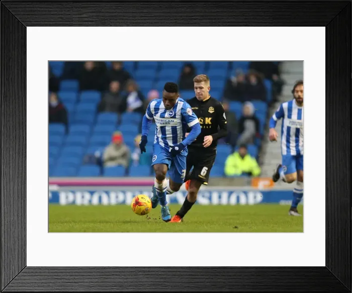 Framed Print : Brighton and Hove Albion vs. Bolton Wanderers: Sky Bet Championship Showdown at American Express Community Stadium (13 / 02 / 2016) Framed Print : Brighton and Hove Albion vs. Bolton Wanderers: Sky Bet Championship Showdown at American Express Community Stadium (13 / 02 / 2016)