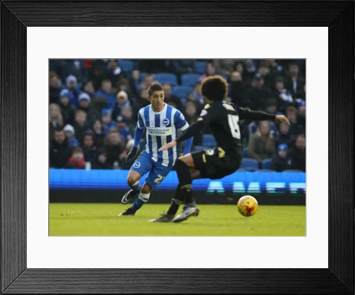 Framed Print : Brighton and Hove Albion vs. Bolton Wanderers: Sky Bet Championship Showdown at American Express Community Stadium (13 / 02 / 2016) Framed Print : Brighton and Hove Albion vs. Bolton Wanderers: Sky Bet Championship Showdown at American Express Community Stadium (13 / 02 / 2016)