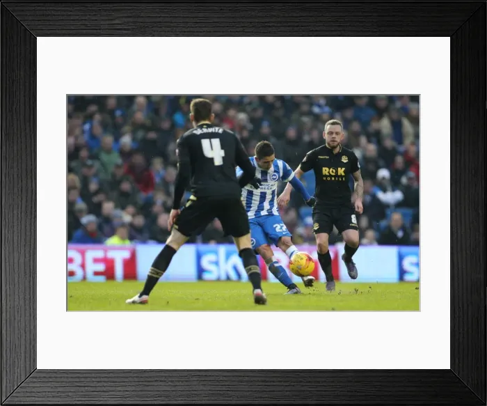 Framed Print : Brighton and Hove Albion vs. Bolton Wanderers: A Fight in the Sky Bet Championship (13 February 2016) Framed Print : Brighton and Hove Albion vs. Bolton Wanderers: A Fight in the Sky Bet Championship (13 February 2016)