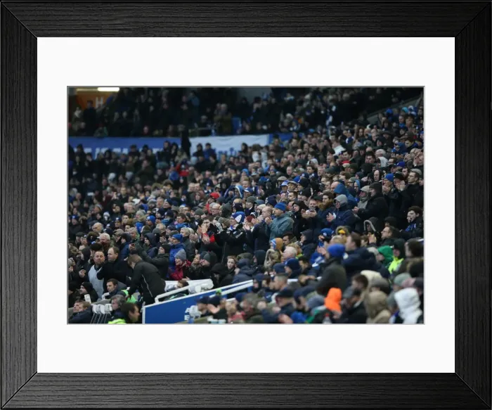 Framed Print : Brighton and Hove Albion vs. Bolton Wanderers: Sky Bet Championship Showdown at American Express Community Stadium - February 13, 2016 Framed Print : Brighton and Hove Albion vs. Bolton Wanderers: Sky Bet Championship Showdown at American Express Community Stadium - February 13, 2016