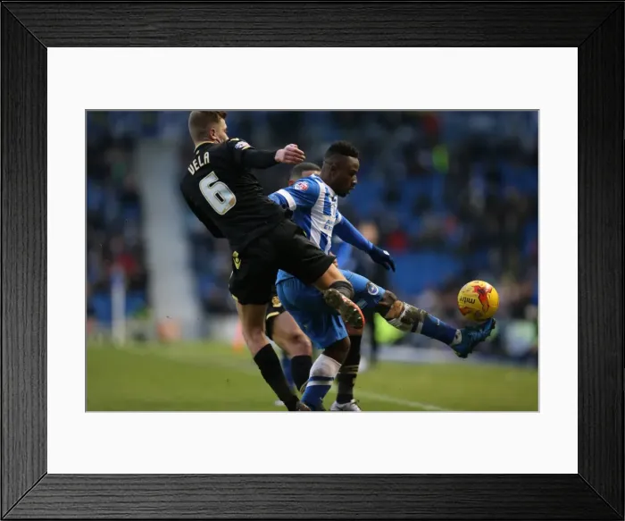 Framed Print : Brighton and Hove Albion vs. Bolton Wanderers: Sky Bet Championship Showdown at American Express Community Stadium (February 13, 2016) Framed Print : Brighton and Hove Albion vs. Bolton Wanderers: Sky Bet Championship Showdown at American Express Community Stadium (February 13, 2016)