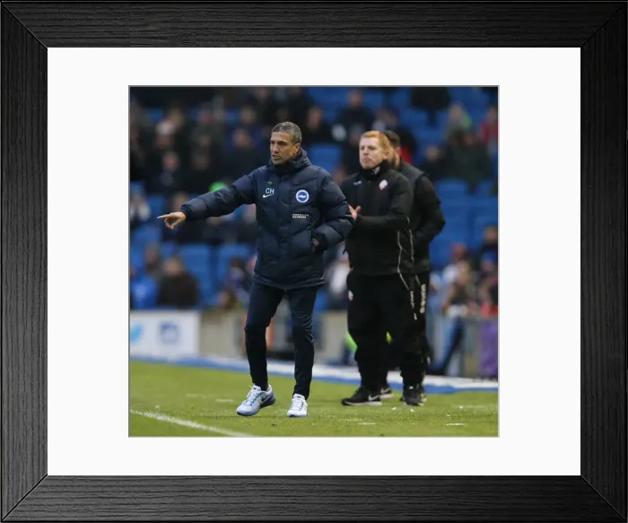 Framed Print : Brighton and Hove Albion vs. Bolton Wanderers: Sky Bet Championship Showdown at American Express Community Stadium (February 13, 2016) Framed Print : Brighton and Hove Albion vs. Bolton Wanderers: Sky Bet Championship Showdown at American Express Community Stadium (February 13, 2016)