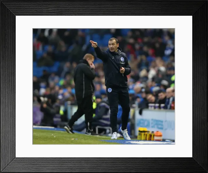 Framed Print : Brighton and Hove Albion vs. Bolton Wanderers: Sky Bet Championship Showdown at American Express Community Stadium (13 / 02 / 2016) Framed Print : Brighton and Hove Albion vs. Bolton Wanderers: Sky Bet Championship Showdown at American Express Community Stadium (13 / 02 / 2016)