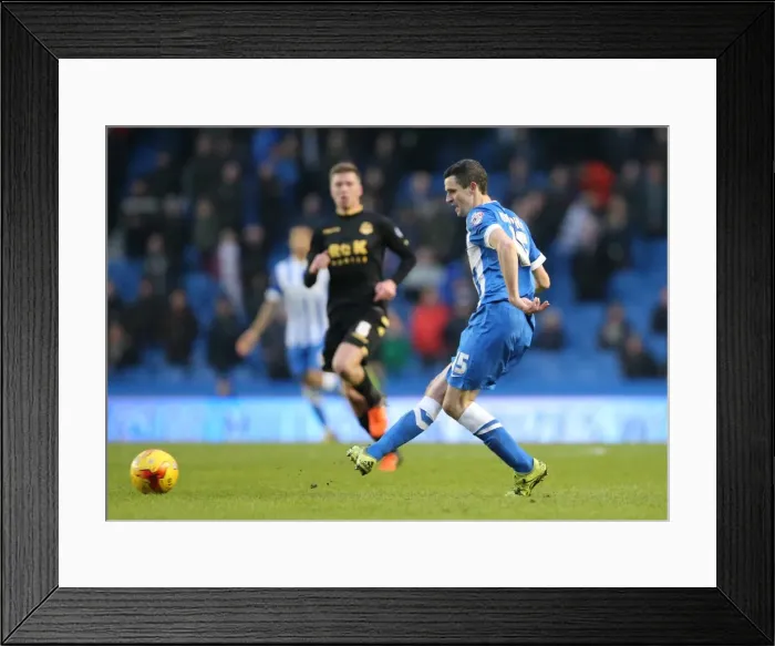 Framed Print : Brighton & Hove Albion vs. Bolton Wanderers: Championship Battle at American Express Community Stadium (February 13, 2016) Framed Print : Brighton & Hove Albion vs. Bolton Wanderers: Championship Battle at American Express Community Stadium (February 13, 2016)