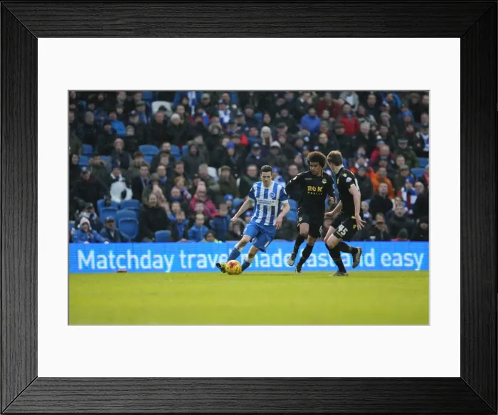 Framed Print : Brighton and Hove Albion vs. Bolton Wanderers: Sky Bet Championship Showdown at American Express Community Stadium (February 13, 2016) Framed Print : Brighton and Hove Albion vs. Bolton Wanderers: Sky Bet Championship Showdown at American Express Community Stadium (February 13, 2016)