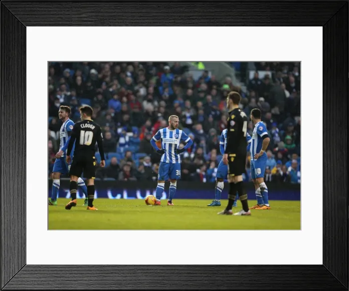 Framed Print : Brighton and Hove Albion vs. Bolton Wanderers: Sky Bet Championship Showdown at American Express Community Stadium - February 13, 2016 Framed Print : Brighton and Hove Albion vs. Bolton Wanderers: Sky Bet Championship Showdown at American Express Community Stadium - February 13, 2016