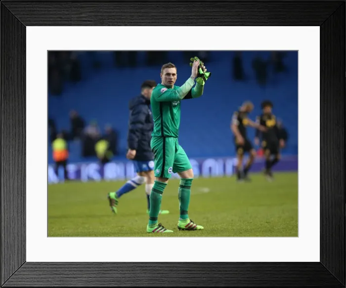 Framed Print : Brighton and Hove Albion vs. Bolton Wanderers: Sky Bet Championship Showdown at American Express Community Stadium - February 13, 2016 Framed Print : Brighton and Hove Albion vs. Bolton Wanderers: Sky Bet Championship Showdown at American Express Community Stadium - February 13, 2016