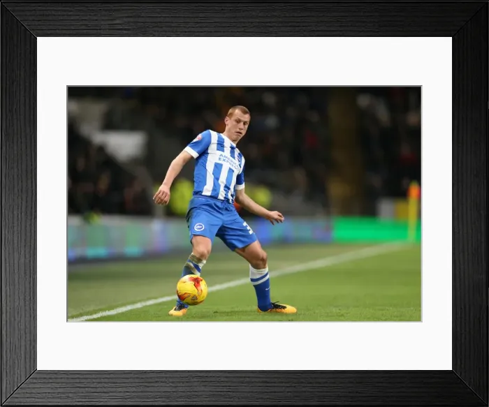 Framed Print : Intense Championship Showdown: Brighton and Hove Albion vs. Hull City (16 February 2016) Framed Print : Intense Championship Showdown: Brighton and Hove Albion vs. Hull City (16 February 2016)