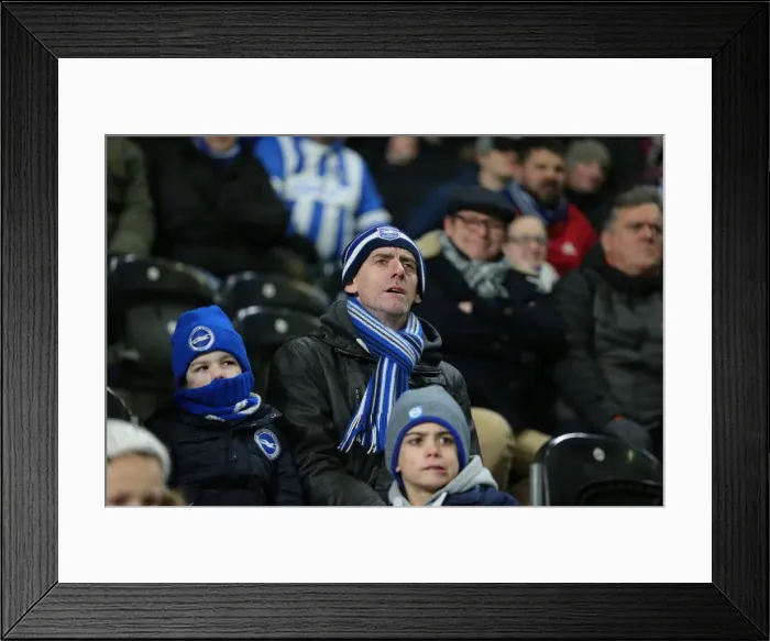 Framed Print : Intense Championship Showdown: Brighton and Hove Albion vs. Hull City (16 February 2016) Framed Print : Intense Championship Showdown: Brighton and Hove Albion vs. Hull City (16 February 2016)