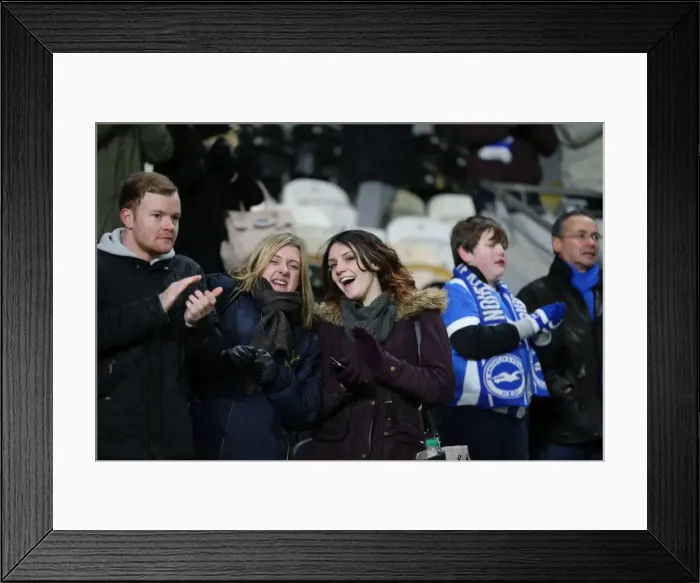 Framed Print : Intense Championship Showdown: Brighton and Hove Albion vs. Hull City (16 February 2016) Framed Print : Intense Championship Showdown: Brighton and Hove Albion vs. Hull City (16 February 2016)