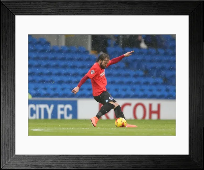 Framed Print : Sky Bet Championship Clash: Cardiff City vs. Brighton and Hove Albion (20FEB16) Framed Print : Sky Bet Championship Clash: Cardiff City vs. Brighton and Hove Albion (20FEB16)
