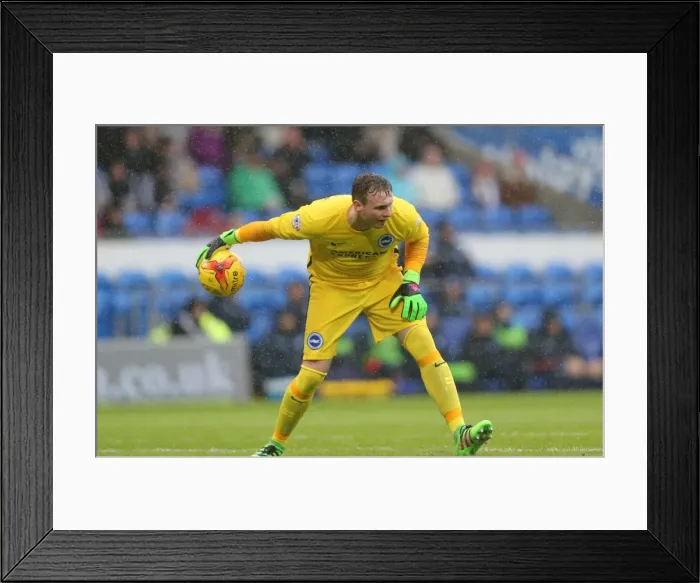 Framed Print : Sky Bet Championship Clash: Cardiff City vs. Brighton and Hove Albion (20FEB16) Framed Print : Sky Bet Championship Clash: Cardiff City vs. Brighton and Hove Albion (20FEB16)