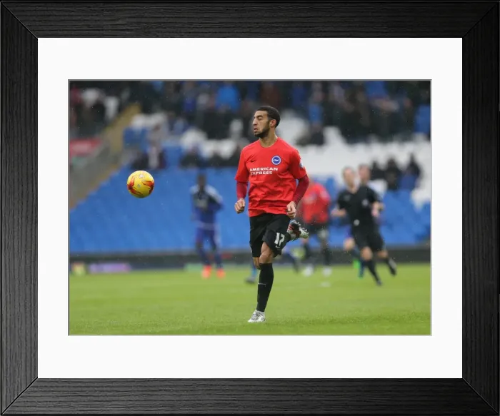 Framed Print : Sky Bet Championship Clash: Cardiff City vs. Brighton and Hove Albion (20FEB16) Framed Print : Sky Bet Championship Clash: Cardiff City vs. Brighton and Hove Albion (20FEB16)