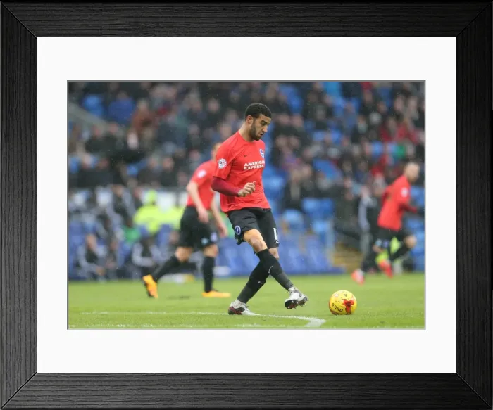 Framed Print : Intense Championship Showdown: Cardiff vs. Brighton (20FEB16) Framed Print : Intense Championship Showdown: Cardiff vs. Brighton (20FEB16)