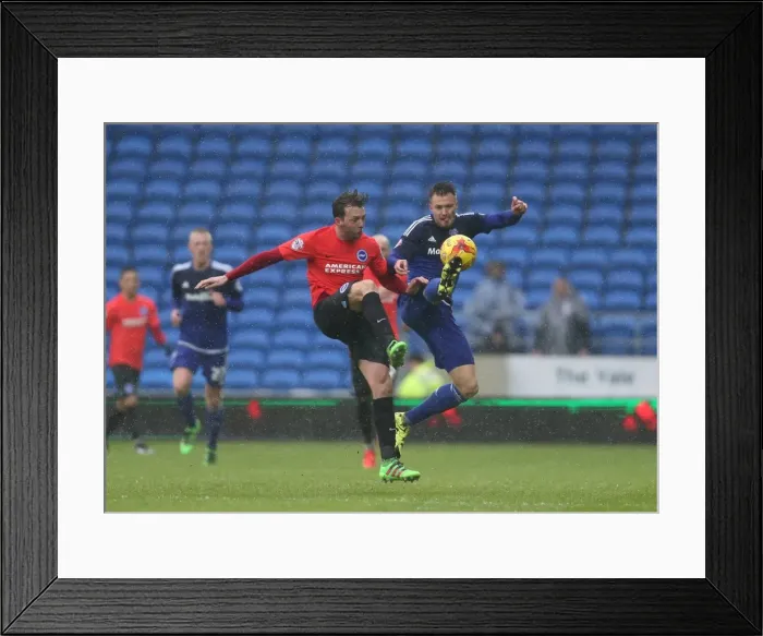 Framed Print : Intense Championship Showdown: Cardiff City vs. Brighton and Hove Albion (20FEB16) Framed Print : Intense Championship Showdown: Cardiff City vs. Brighton and Hove Albion (20FEB16)
