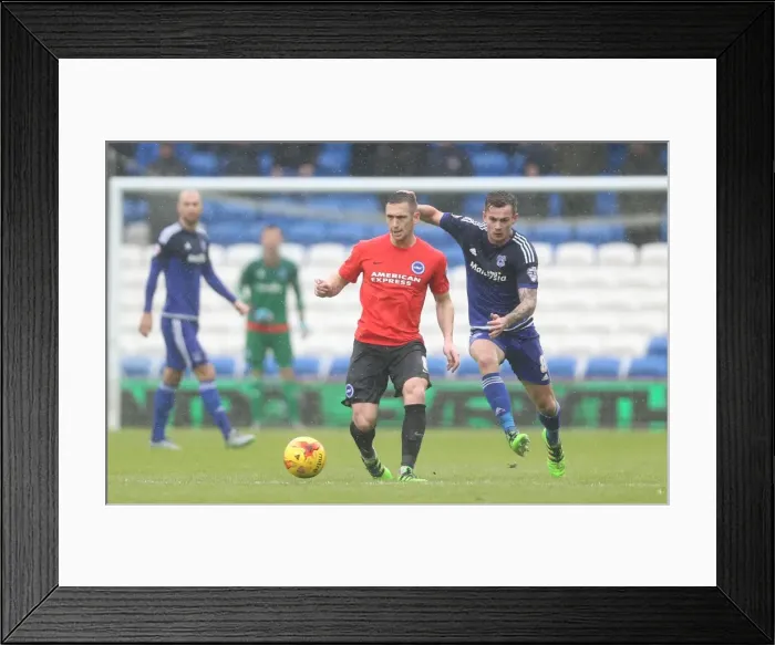 Framed Print : Sky Bet Championship Clash: Cardiff City vs. Brighton and Hove Albion (20FEB16) Framed Print : Sky Bet Championship Clash: Cardiff City vs. Brighton and Hove Albion (20FEB16)