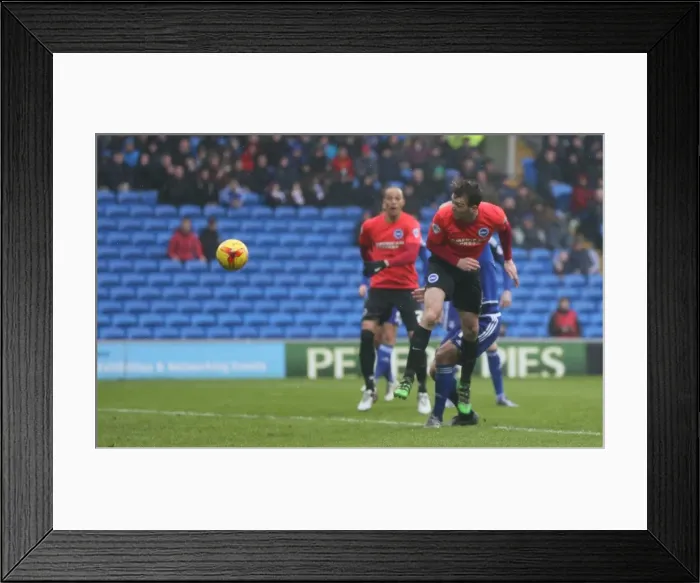 Framed Print : Sky Bet Championship Showdown: Cardiff vs. Brighton (20FEB16) Framed Print : Sky Bet Championship Showdown: Cardiff vs. Brighton (20FEB16)