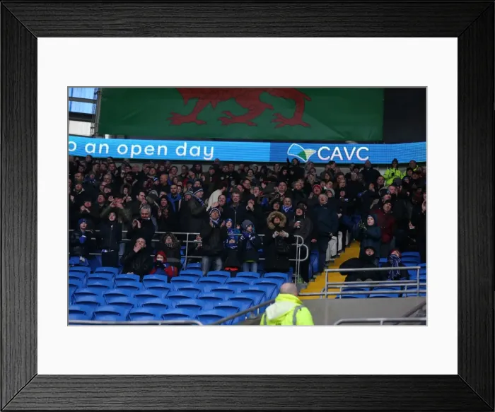 Framed Print : Intense Championship Showdown: Cardiff vs. Brighton (20FEB16) Framed Print : Intense Championship Showdown: Cardiff vs. Brighton (20FEB16)