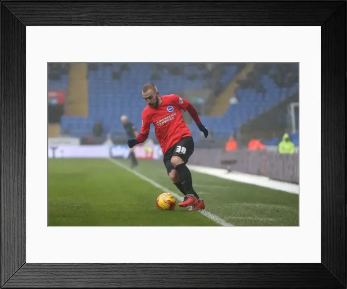 Framed Print : Intense Championship Showdown: Cardiff City vs. Brighton and Hove Albion (20FEB16) Framed Print : Intense Championship Showdown: Cardiff City vs. Brighton and Hove Albion (20FEB16)