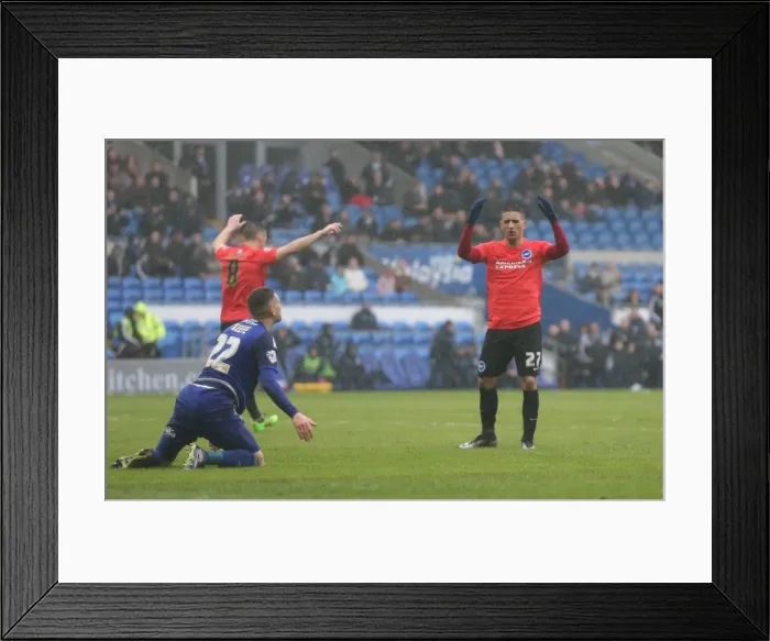 Framed Print : Sky Bet Championship Clash: Cardiff City vs. Brighton and Hove Albion (20FEB16) Framed Print : Sky Bet Championship Clash: Cardiff City vs. Brighton and Hove Albion (20FEB16)