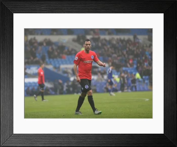 Framed Print : Intense Championship Showdown: Cardiff vs. Brighton (20FEB16) Framed Print : Intense Championship Showdown: Cardiff vs. Brighton (20FEB16)