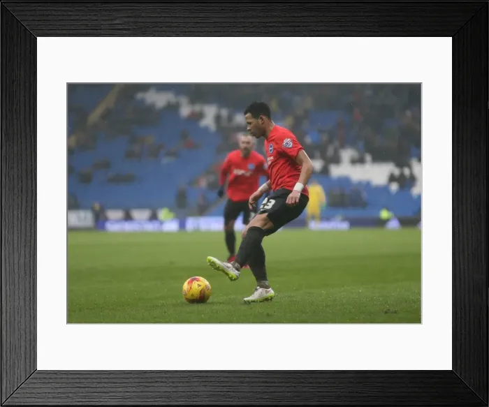 Framed Print : Sky Bet Championship Clash: Cardiff City vs. Brighton and Hove Albion (20FEB16) Framed Print : Sky Bet Championship Clash: Cardiff City vs. Brighton and Hove Albion (20FEB16)