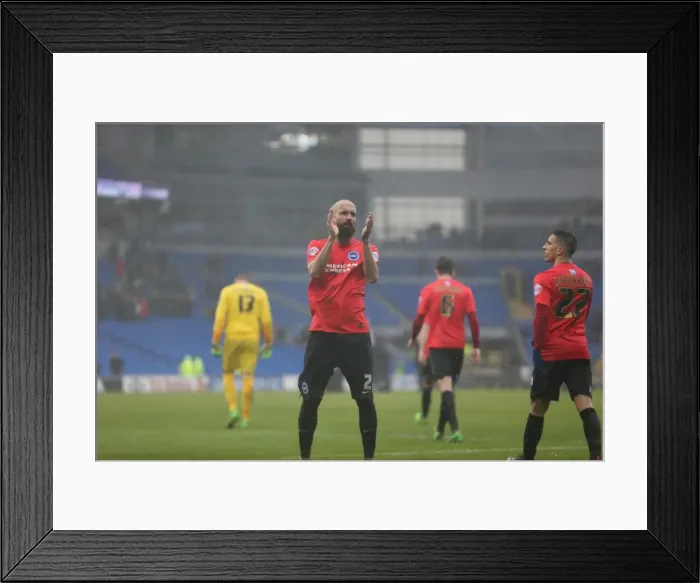 Framed Print : Sky Bet Championship Clash: Cardiff City vs Brighton and Hove Albion (20FEB16) Framed Print : Sky Bet Championship Clash: Cardiff City vs Brighton and Hove Albion (20FEB16)