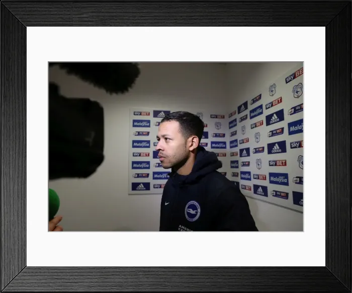 Framed Print : Intense Championship Showdown: Cardiff vs. Brighton (20FEB16) Framed Print : Intense Championship Showdown: Cardiff vs. Brighton (20FEB16)