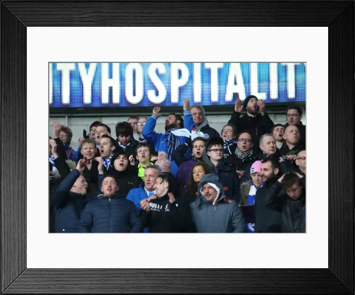 Framed Print : Intense Championship Showdown: Cardiff vs. Brighton (20FEB16)