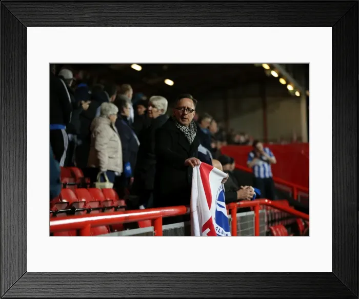 Framed Print : Intense Championship Showdown: Brighton and Hove Albion vs. Bristol City (23FEB16) Framed Print : Intense Championship Showdown: Brighton and Hove Albion vs. Bristol City (23FEB16)