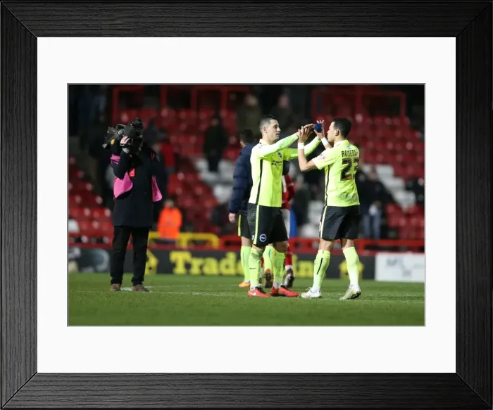 Framed Print : Intense Championship Showdown: Brighton and Hove Albion vs. Bristol City (23FEB16) Framed Print : Intense Championship Showdown: Brighton and Hove Albion vs. Bristol City (23FEB16)